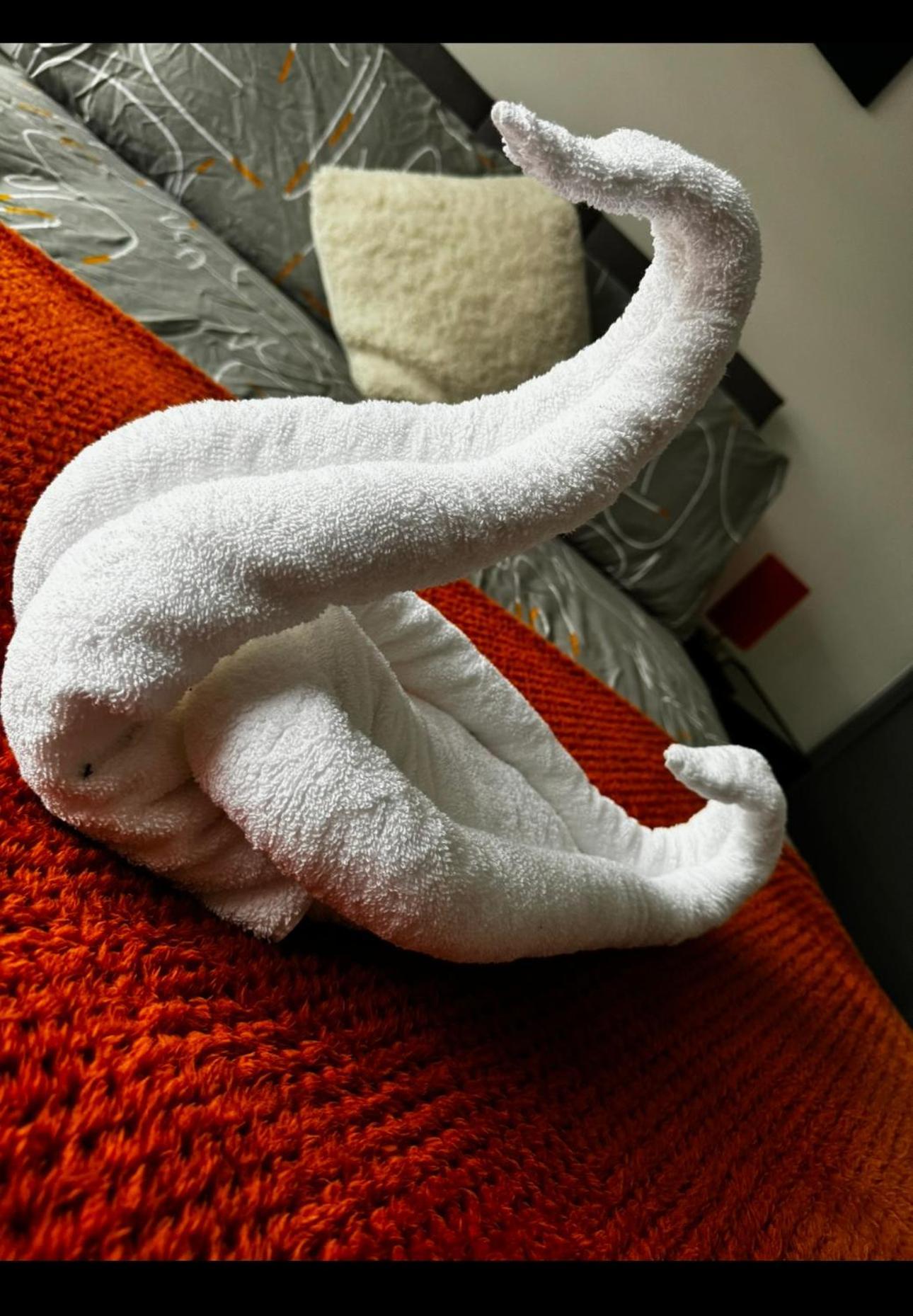 Melville House - Pet Friendly 黑潭 外观 照片